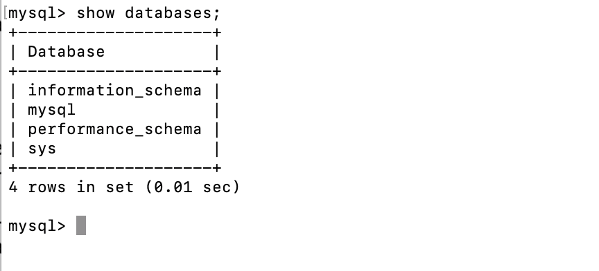 Now Validate through Terminal and try to access the database